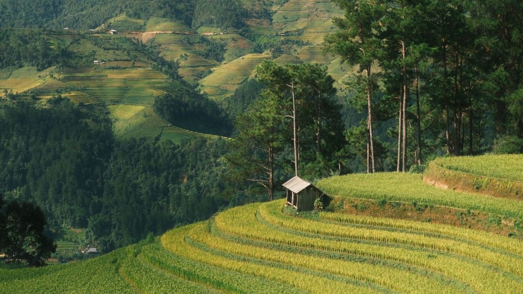 Micro-trips and Weekend getaways